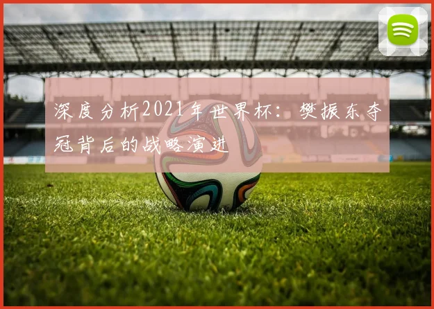 深度分析2021年世界杯：樊振东夺冠背后的战略演进