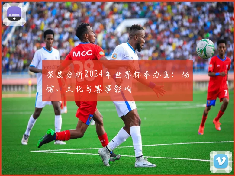 深度分析2024年世界杯举办国：场馆、文化与赛事影响