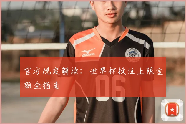 官方规定解读：世界杯投注上限金额全指南
