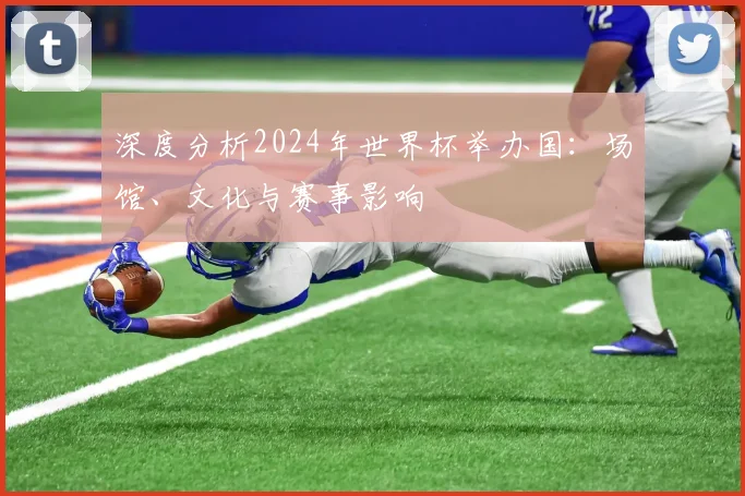 深度分析2024年世界杯举办国：场馆、文化与赛事影响