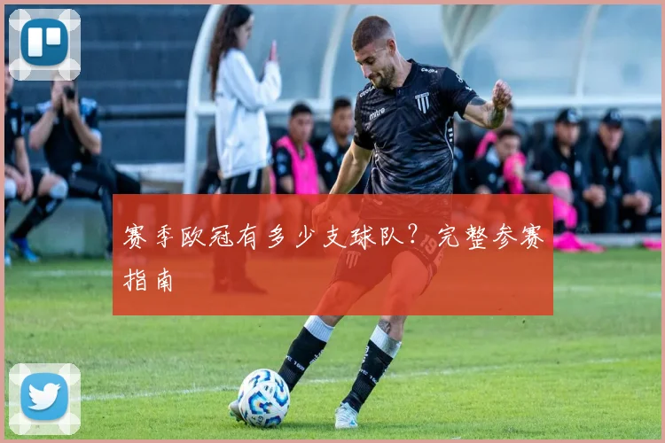 赛季欧冠有多少支球队？完整参赛指南