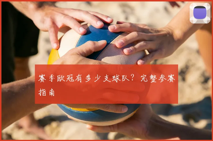 赛季欧冠有多少支球队？完整参赛指南